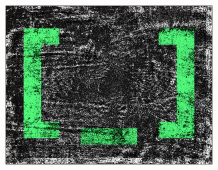 Bottom Logo